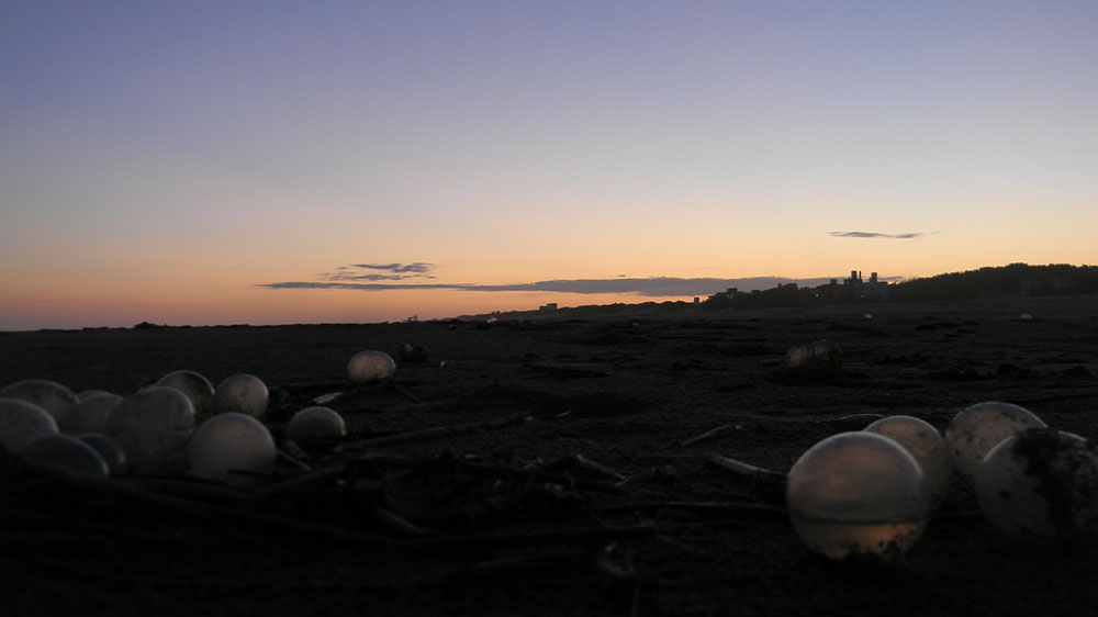 Playa Las Gaviotas