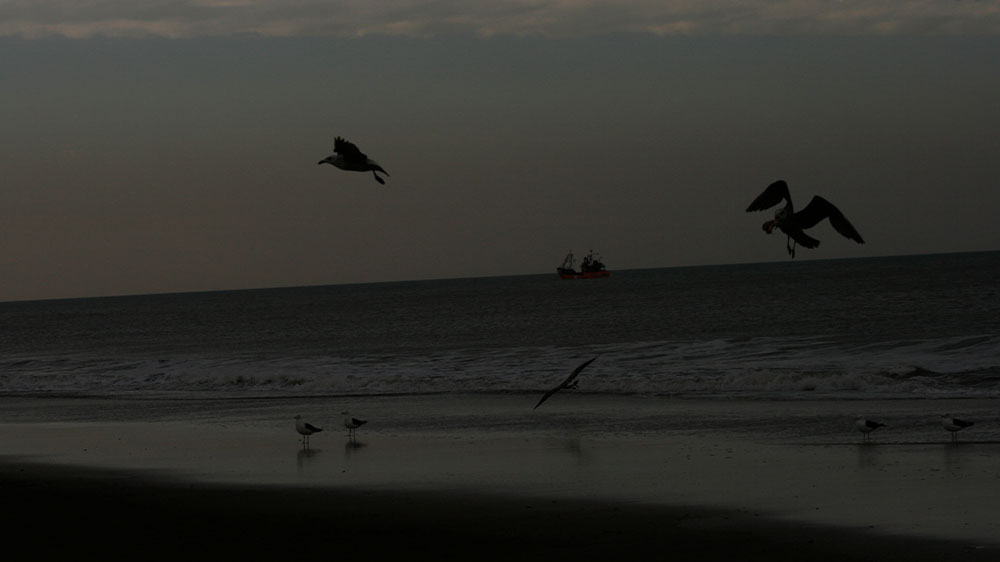 Playa Las Gaviotas