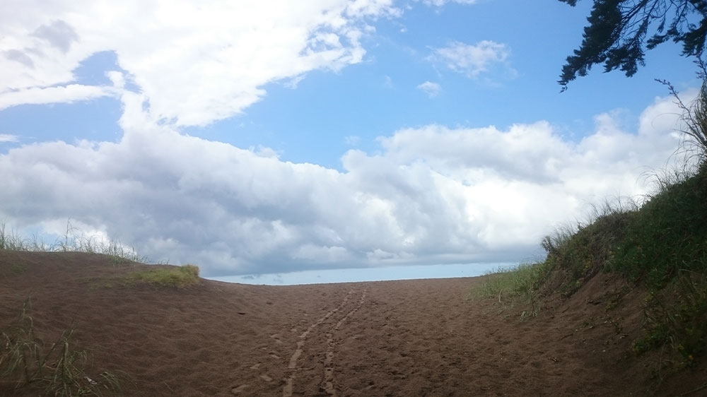 Playa Las Gaviotas