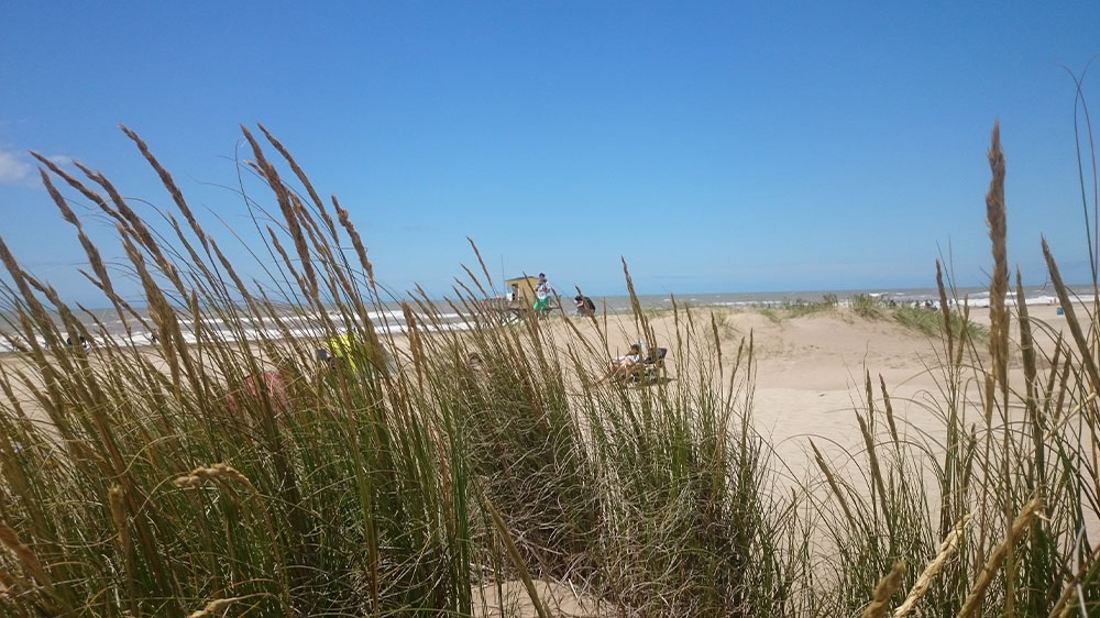 Playa Las Gaviotas