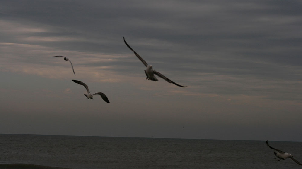 Playa Las Gaviotas